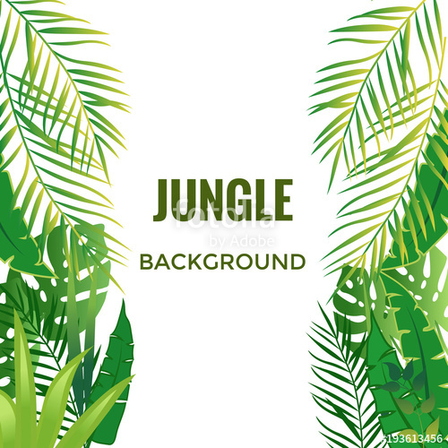 500x500 Jungle Background Jungle Trees And Plants Vector Illustration