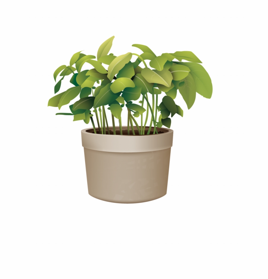 920x960 Pictures Of Potted Plants Best Of Flowerpot Plant Vector