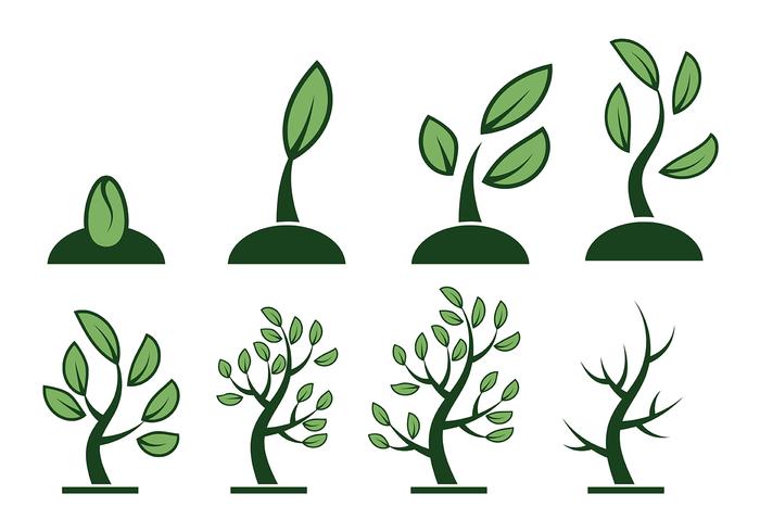 700x490 Plant Free Vector Art