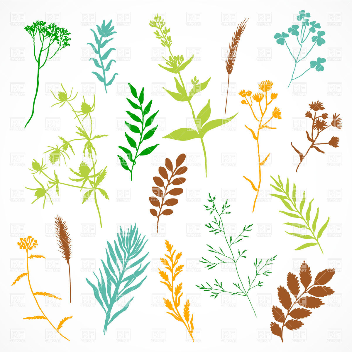 1200x1200 Plant Vector Images Illustrations Vector Graphics Rfclipart