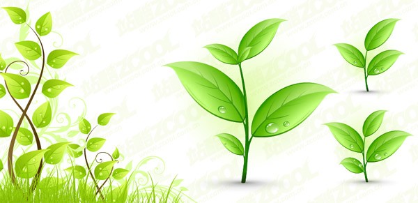 600x291 Plant Images Free Download Png Files, Free Clip Art Download