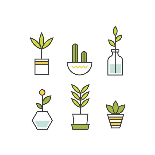 640x640 Plants Icon
