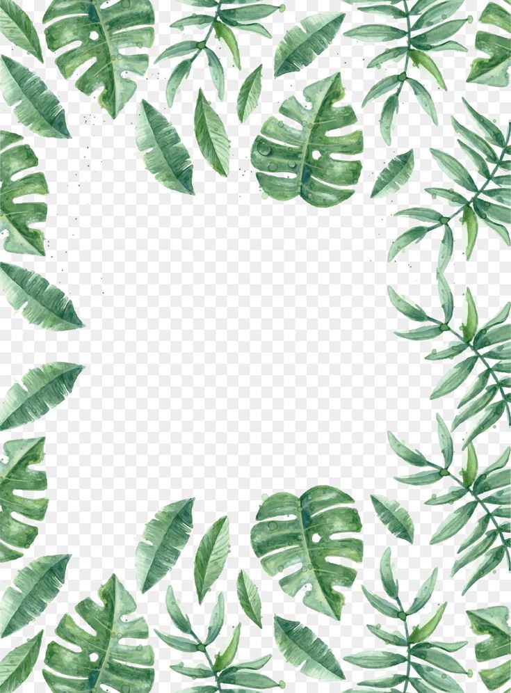 735x996 Vector Border Free Download Summer Fresh Plant Vector Border Png