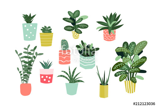 500x342 Potted Plants Collection Succulents And House Plants Hand Drawn