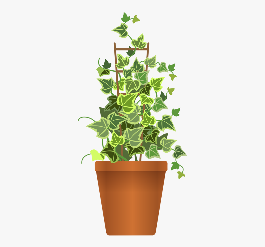House Clipart, Ivy Plants, Leaves Vector, Scrapbook 920x858 House Clipart, Ivy Plants, Leaves Vector, Scrapbook