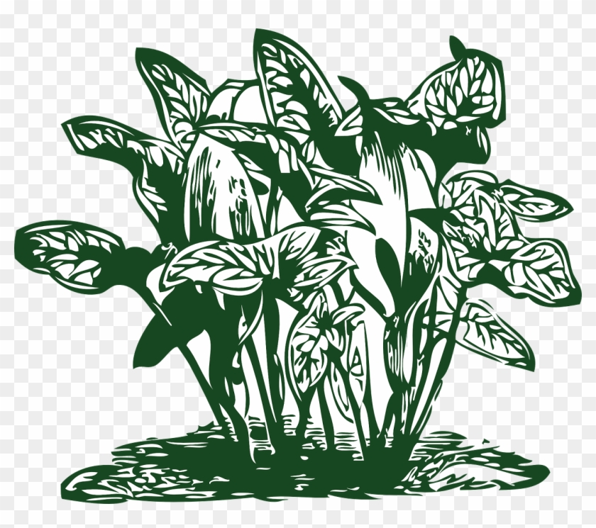 How To Set Use Tropical Plants Vector, Hd Png Download 840x745 How To Set Use Tropical Plants Vector, Hd Png Download
