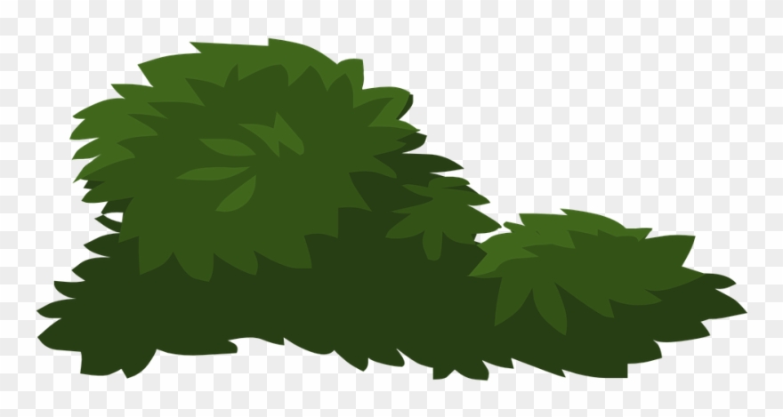 Jungle Plants Cliparts 880x469 Jungle Plants Cliparts