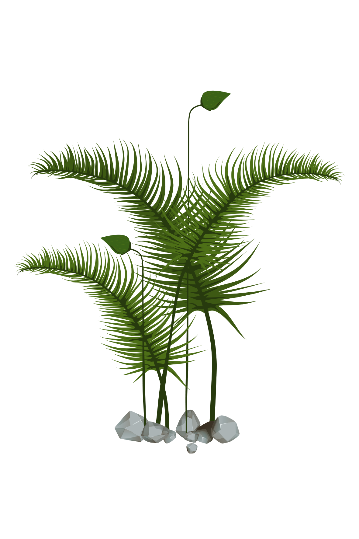 Cutout Outdoor Plants, Vector Trees, Plants 1181x1772 Cutout Outdoor Plants, Vector Trees, Plants