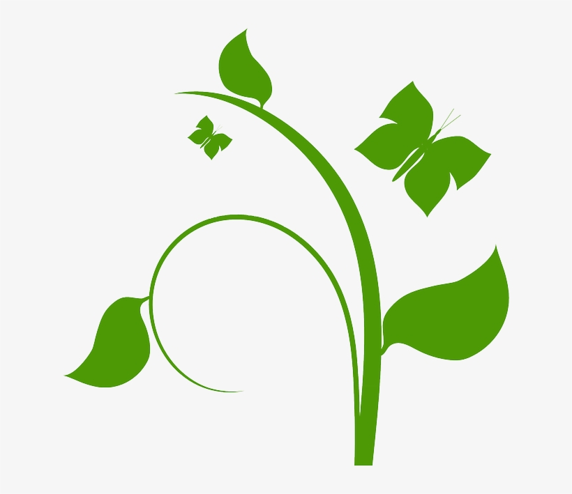 Plant Vector 820x709 Plant Vector