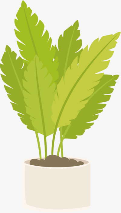 Plants Png 400x706 Plants Png