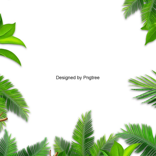 Leaves Palm, Green Leaf, Leaves Vector, Background Png 640x640 Leaves Palm, Green Leaf, Leaves Vector, Background Png