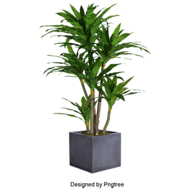 Potted Plant Png Images 400x400 Potted Plant Png Images