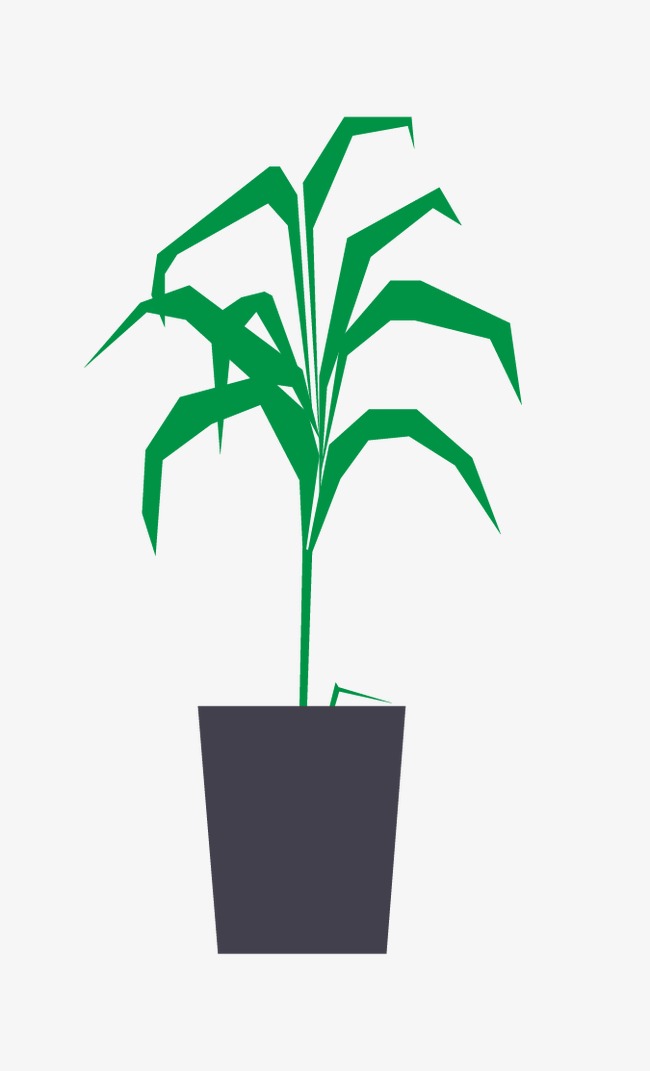 Potted Plants, Vector, Potted, Plant Png 650x1071 Potted Plants, Vector, Potted, Plant Png