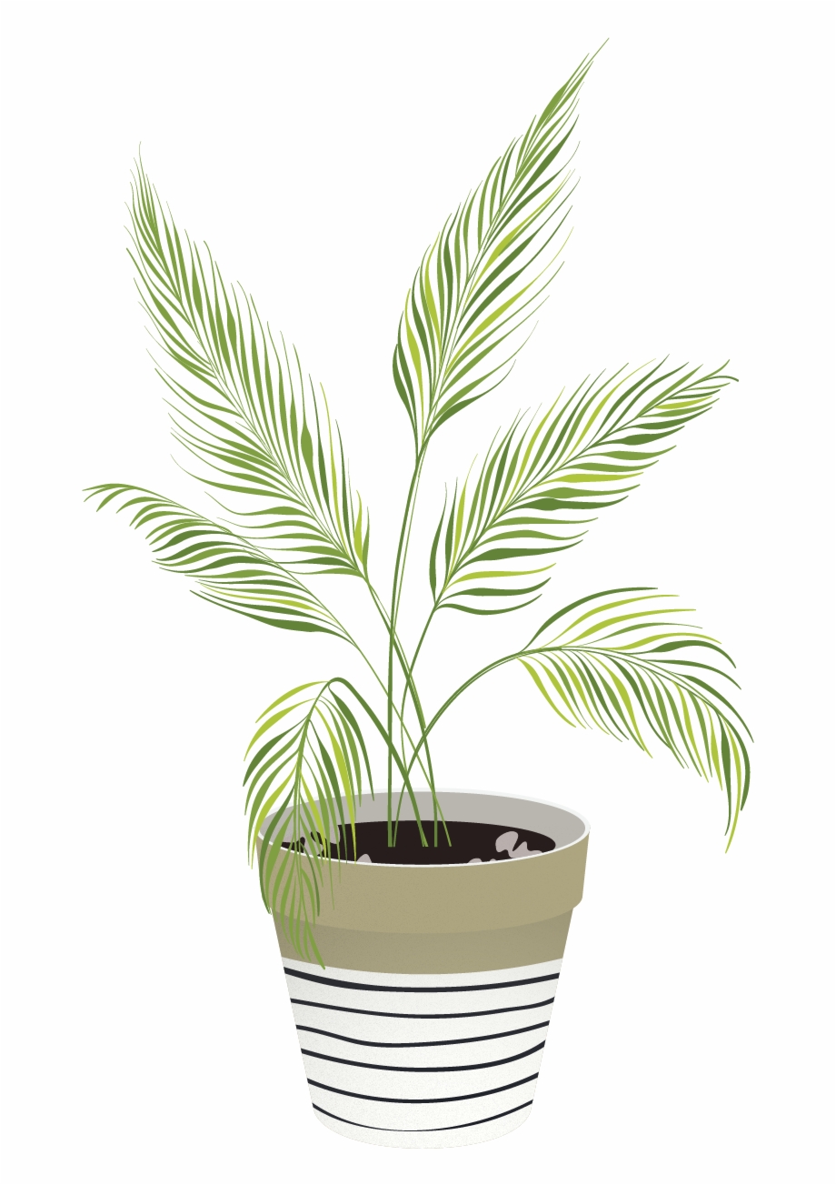 Vector Indoor Plants 920x1303 Vector Indoor Plants