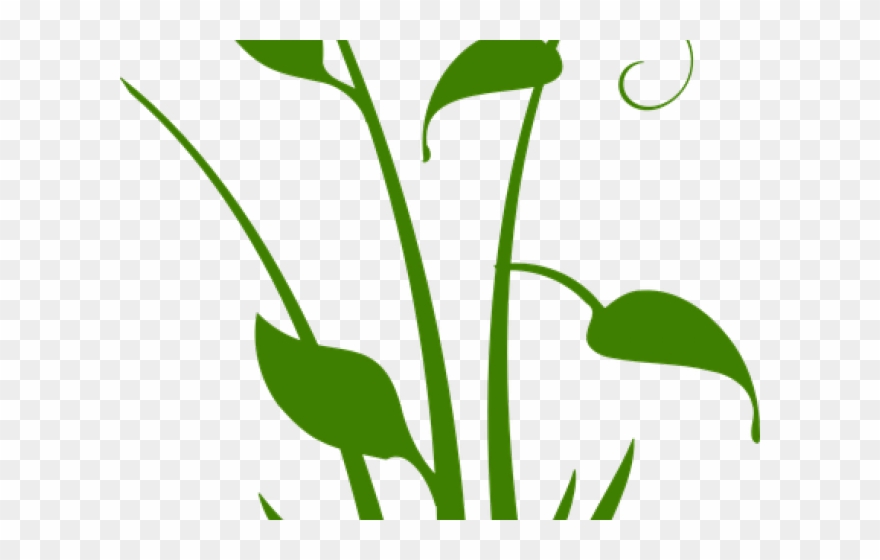 Vector Swirl Clipart Plant 880x560 Vector Swirl Clipart Plant