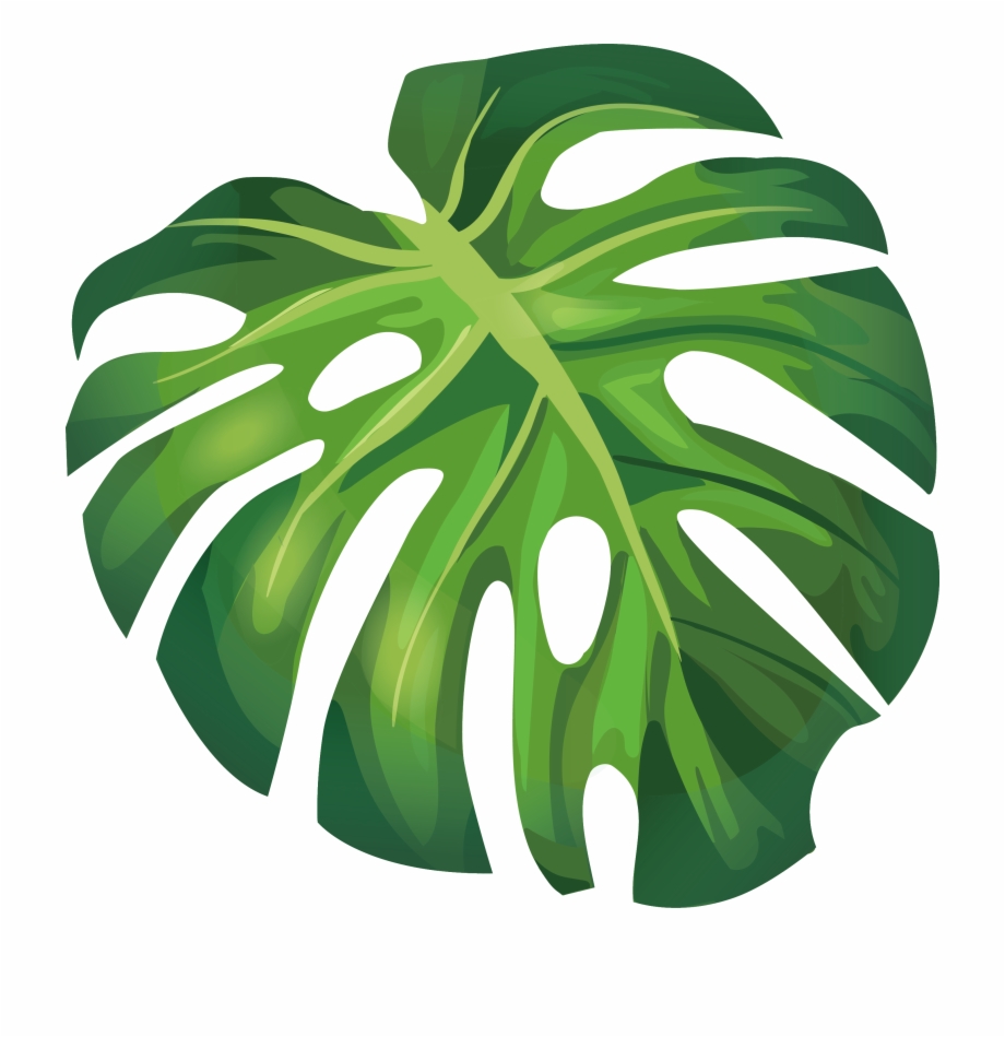 Banana Leaf, Leaf, Banana, Plant Png Image With Transparent 920x949 Banana Leaf, Leaf, Banana, Plant Png Image With Transparent