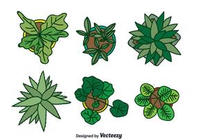 Plant Top View Free Vector Art 286x200 Plant Top View Free Vector Art