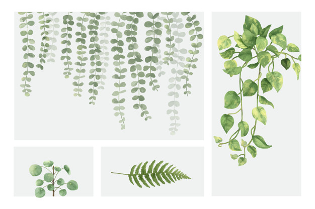 Plants Vectors, Photos And Free Download 626x416 Plants Vectors, Photos And Free Download