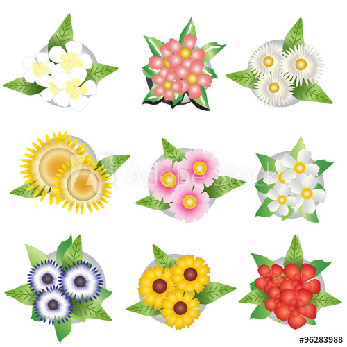 Plants And Flower Top View For Interior, Vector Illustration 500x500 Plants And Flower Top View For Interior, Vector Illustration