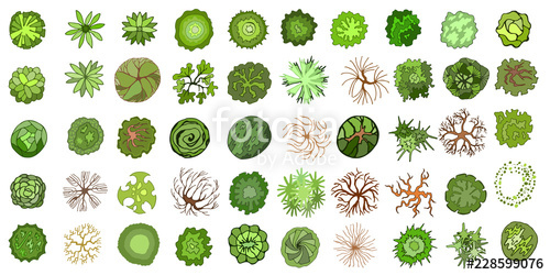 Set Of Colored Hand Drawn Stylized Top View Trees And Plants 500x250 Set Of Colored Hand Drawn Stylized Top View Trees And Plants