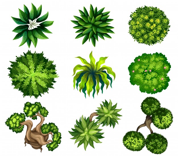 Topview Of The Different Plants Vector Free Download 626x549 Topview Of The Different Plants Vector Free Download