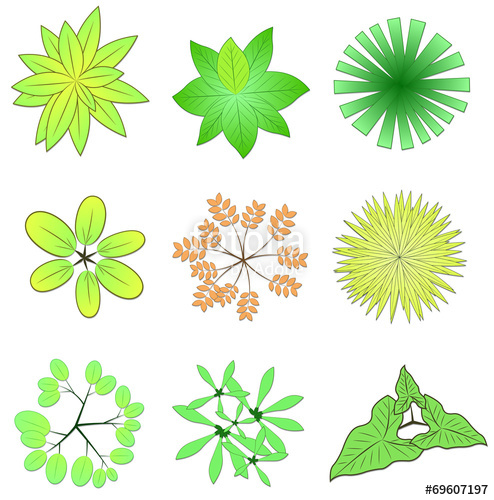 Trees, Plant Flower Top View For Garden Landscape Design Stock 494x500 Trees, Plant Flower Top View For Garden Landscape Design Stock