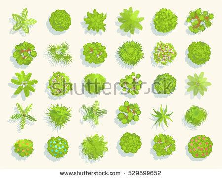 Trees Top View Different Plants And Trees Vector Set 450x363 Trees Top View Different Plants And Trees Vector Set