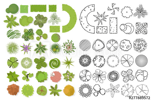 Trees Top View Different Trees, Plants Vector Set 500x334 Trees Top View Different Trees, Plants Vector Set