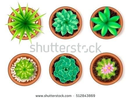 Flowers Vector Top 450x342 Flowers Vector Top