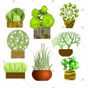 Photostock Vector Trees Top View Different Plants And Trees Vector 300x300 Photostock Vector Trees Top View Different Plants And Trees Vector