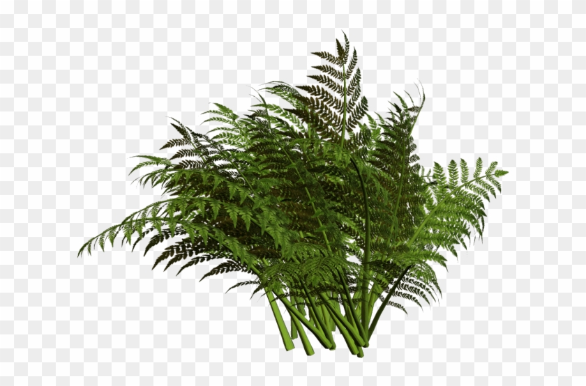 Plant Plan Png 840x554 Plant Plan Png