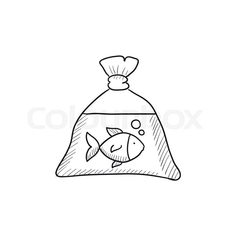 800x800 Fish In Plastic Bag Vector Sketch Icon Stock Vector Colourbox