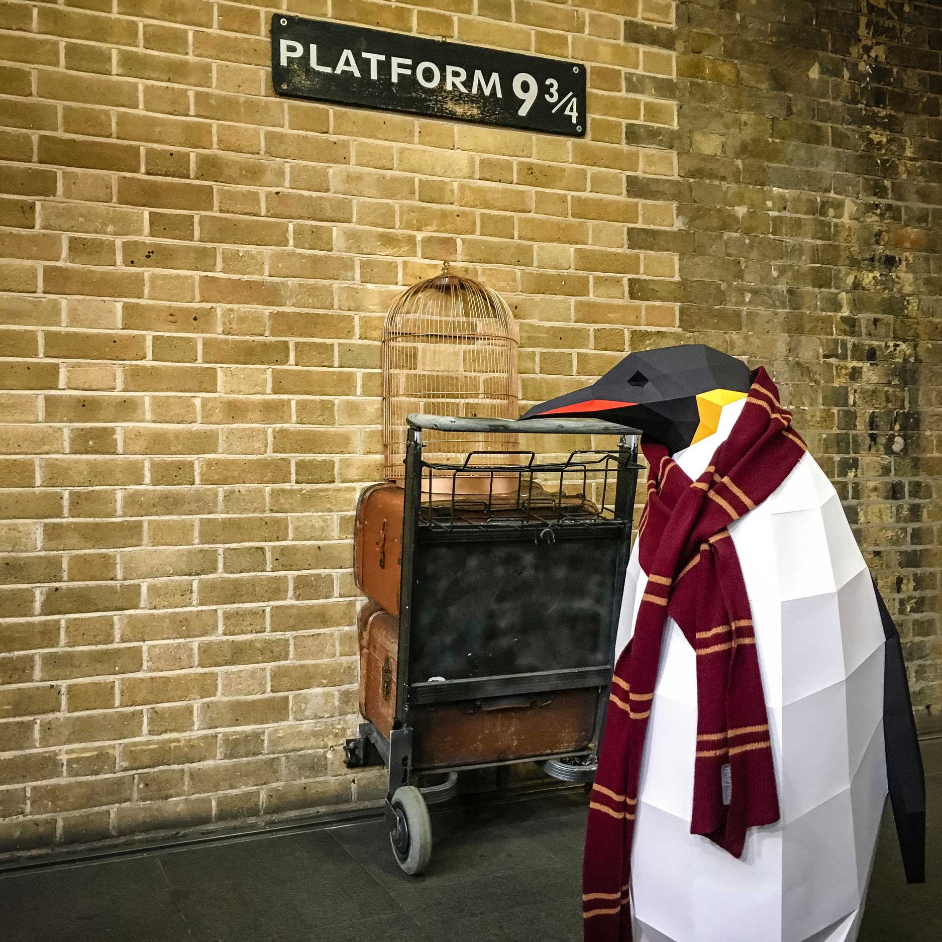 1875x1875 Penguins Are Popping Up Everywhere