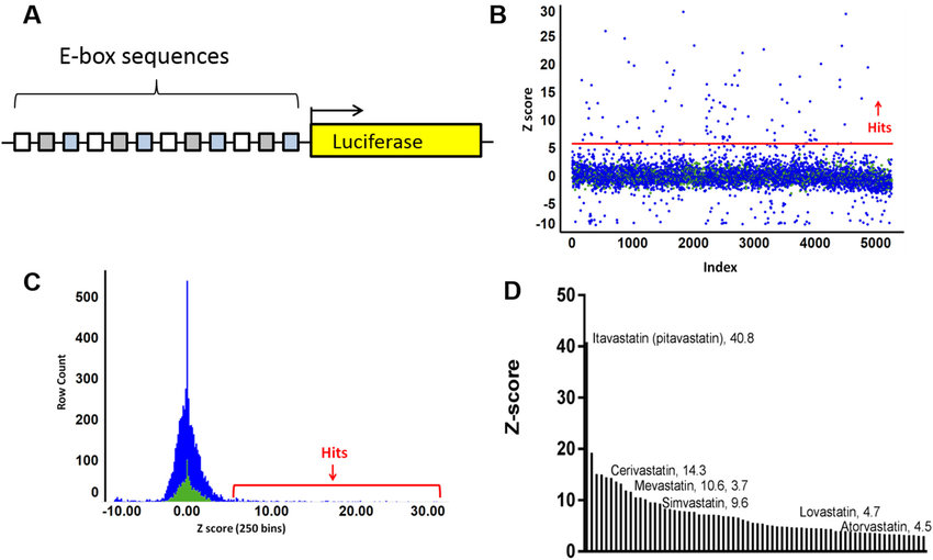850x510 Bhlh Platform Design And Drug Screen
