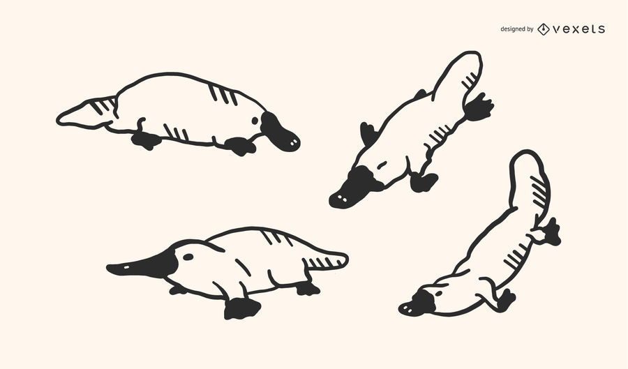 900x529 Platypus Doodle Vector Set