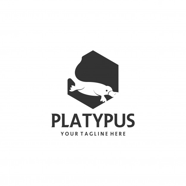 626x626 Platypus Vectors, Photos And Free Download