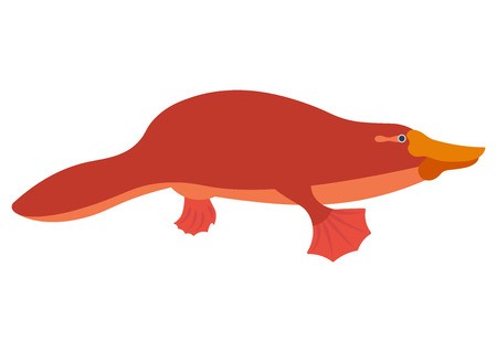 450x319 Platypus Flat Illustration Duckbill Character Cartoon Platypus