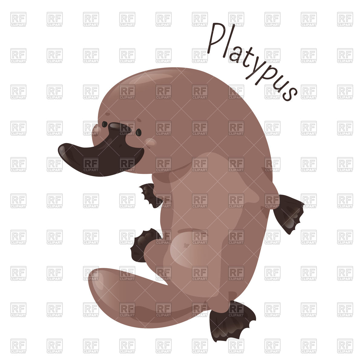 1200x1200 Platypus Isolated On White Background Vector Image Of Plants