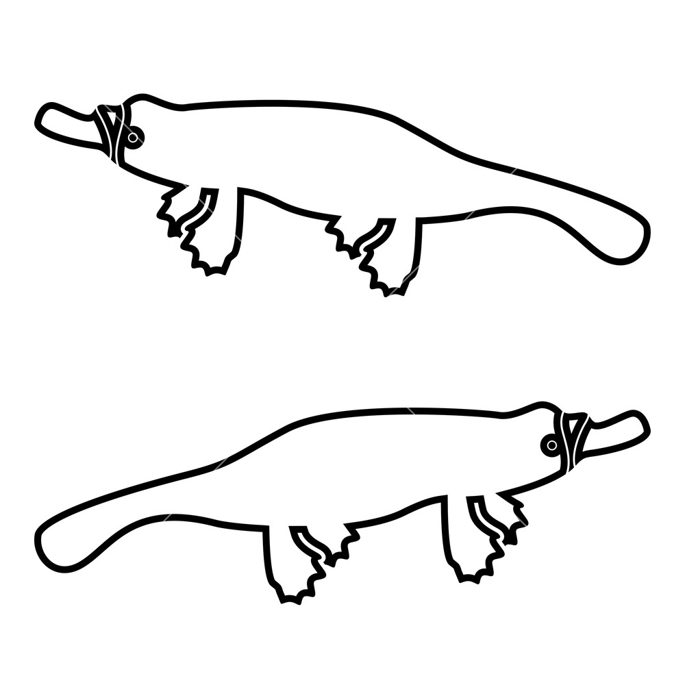 1000x1000 Platypus Or Duckbill Icon Black Color Vector Illustration Flat