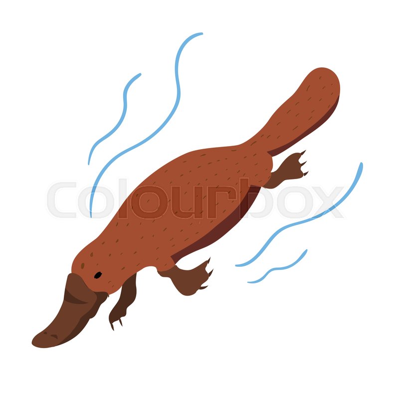 800x800 Vector Illustration Of Australian Stock Vector Colourbox