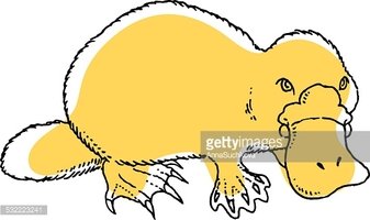 337x200 Cute Vector Platypus Vektory Z Knihovny