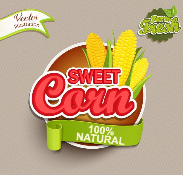 626x598 Sweet Corn Logo Vector Premium Download