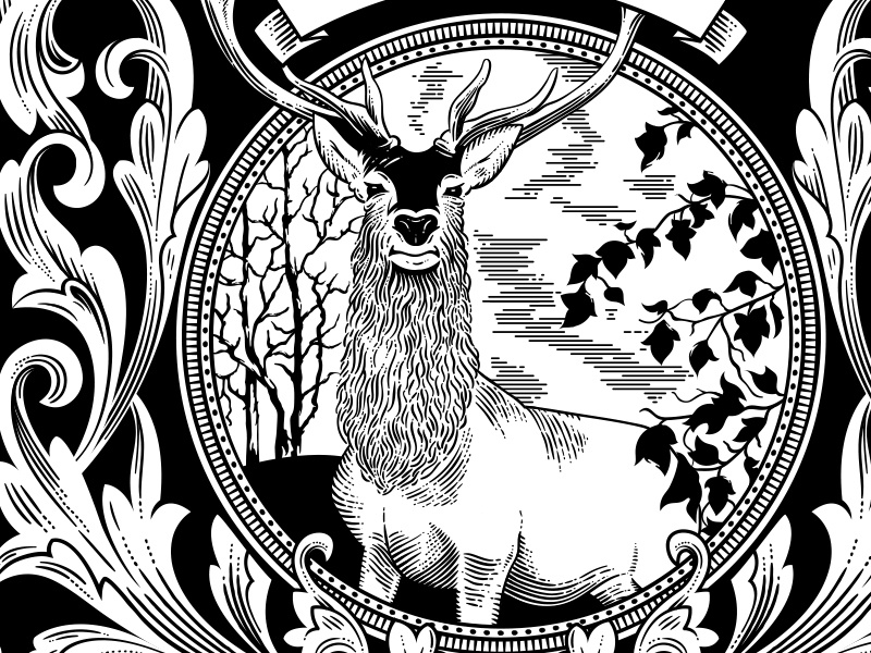 Playing Card Back Design 800x600 Playing Card Back Design