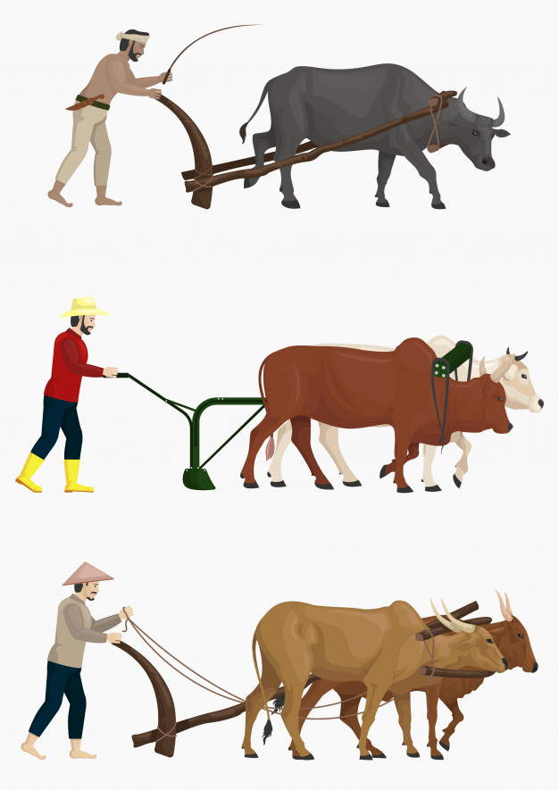 626x885 Farmers Plow The Field With Oxen Vector Set Vector Premium Download