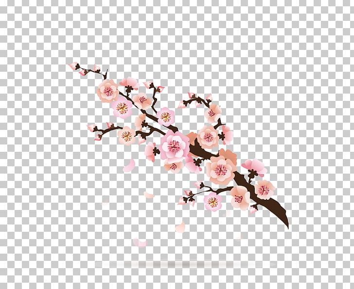 728x596 Plum Blossom Cartoon