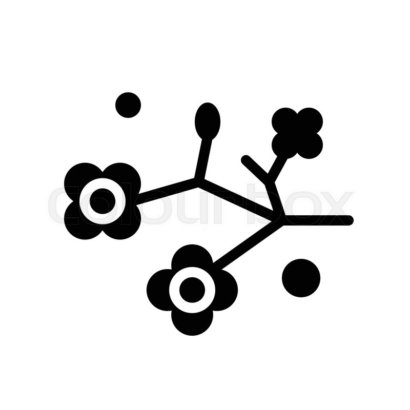 800x800 Plum Blossom Vector, Chinese Lunar New Stock Vector Colourbox