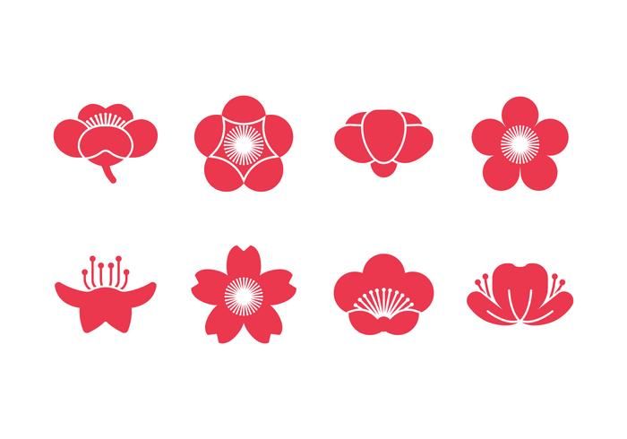 700x490 Plum Blossom Vector Icons Drawing References In Vector