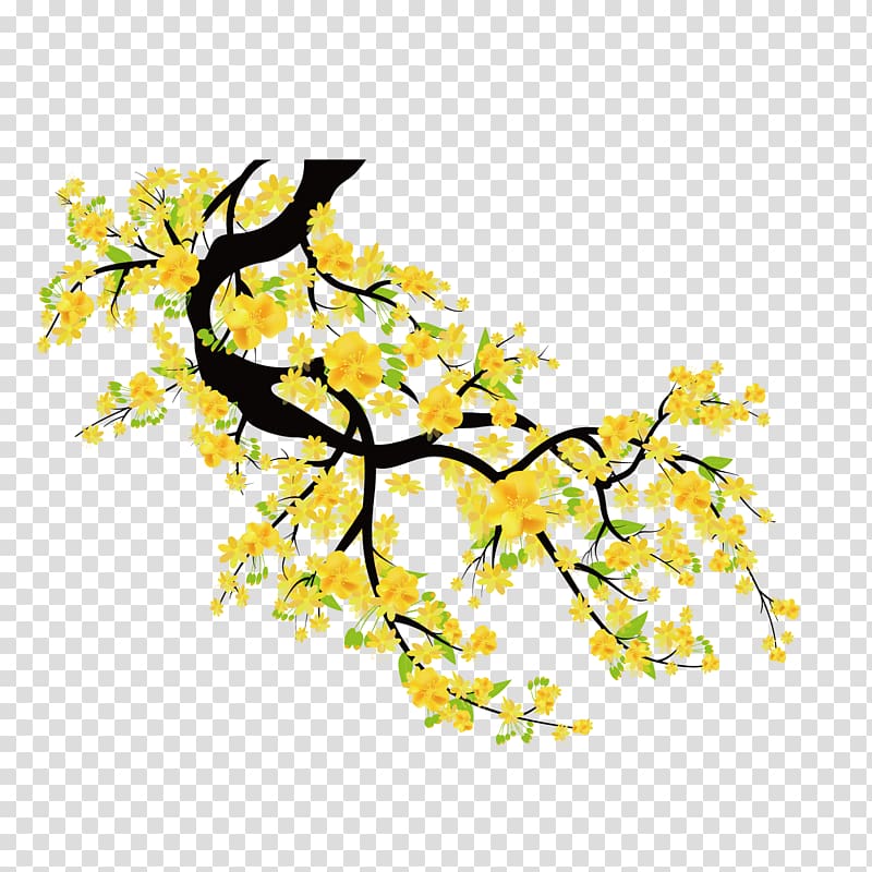800x800 Yellow Flowering Tree Illustration, Plum Blossom Euclidean Cherry