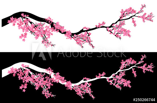 500x330 Plum Tree Blossom Vector Design