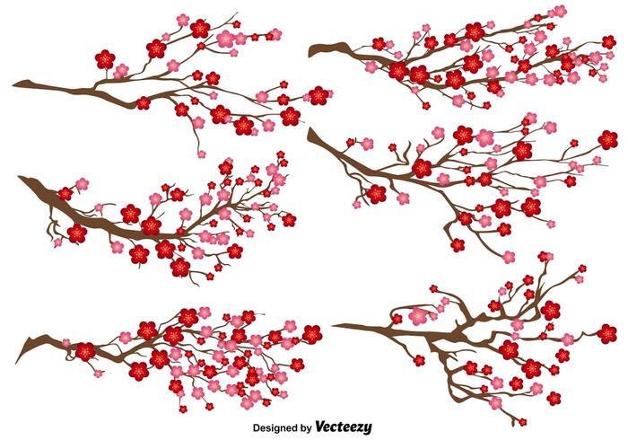 700x490 Japanese Plum Blossom Vector Set